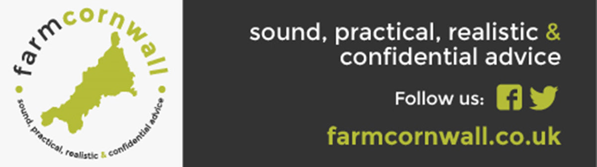 Farm Cornwall