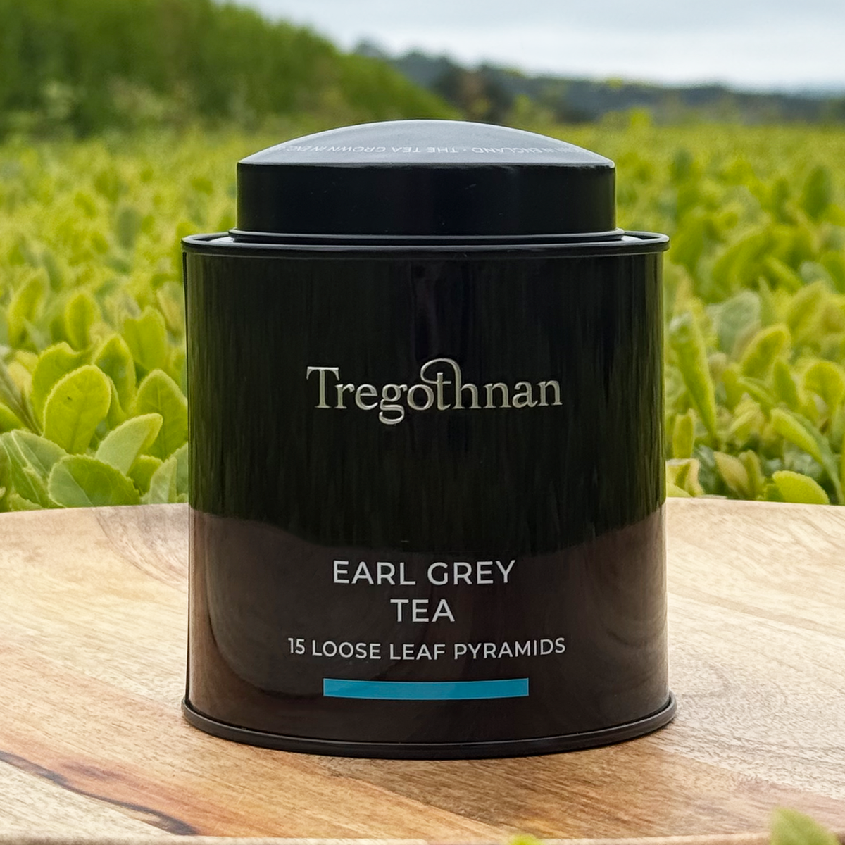 Tregothnan Earl Grey Tea Tin - 15 Loose Leaf Pyramid Bags