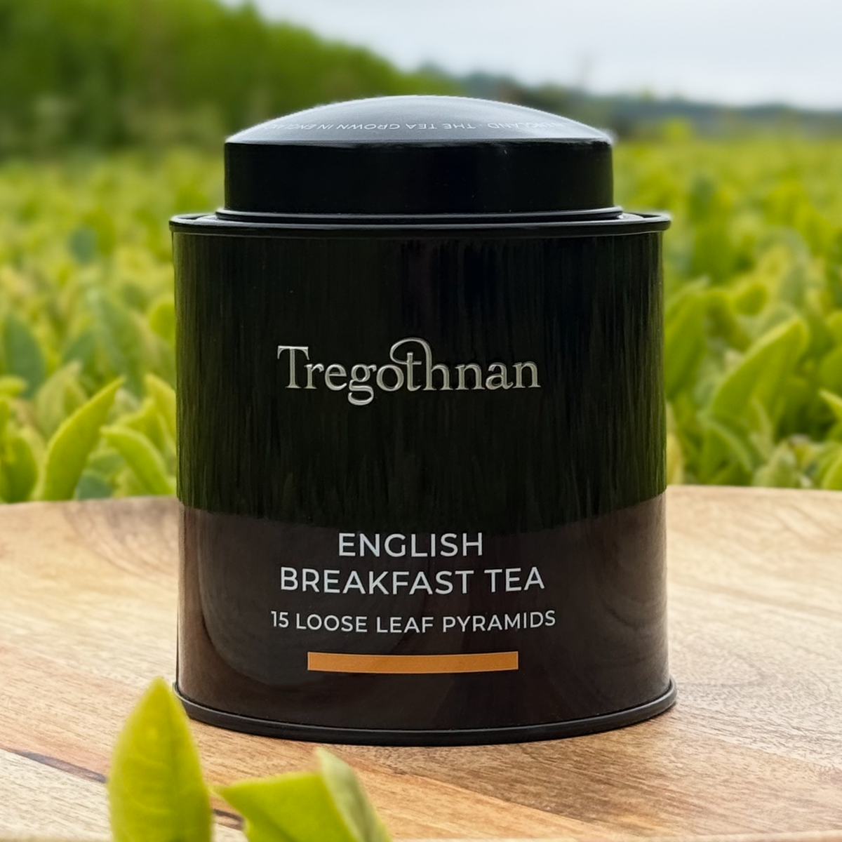 Tregothnan Breakfast Tea Tin- 15 Loose Leaf Pyramid Bags