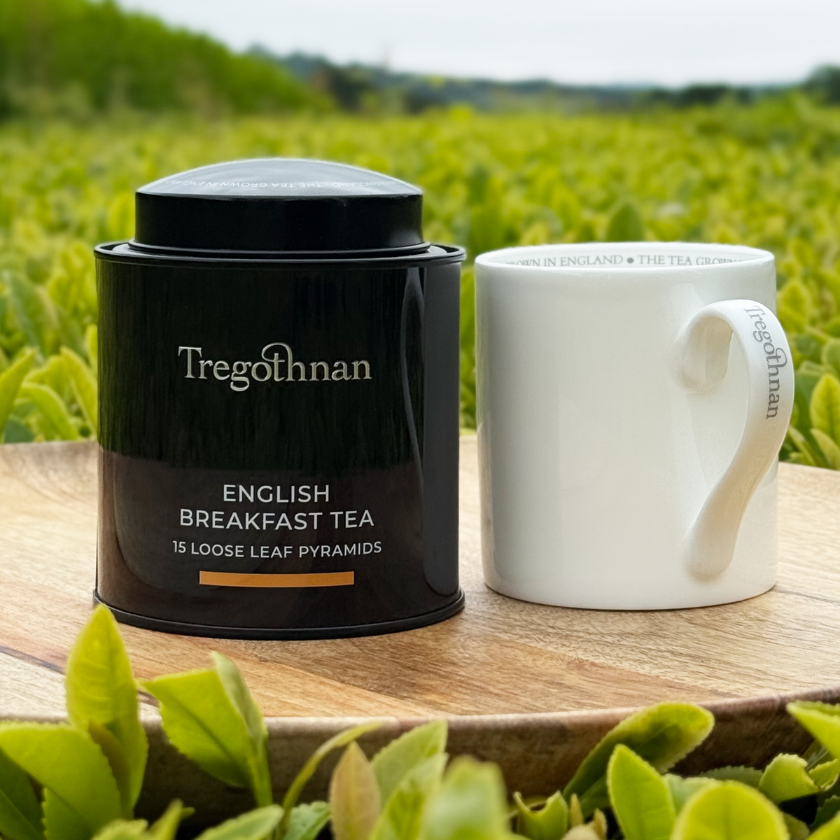 Tregothnan Breakfast Tea Tin- 15 Loose Leaf Pyramid Bags