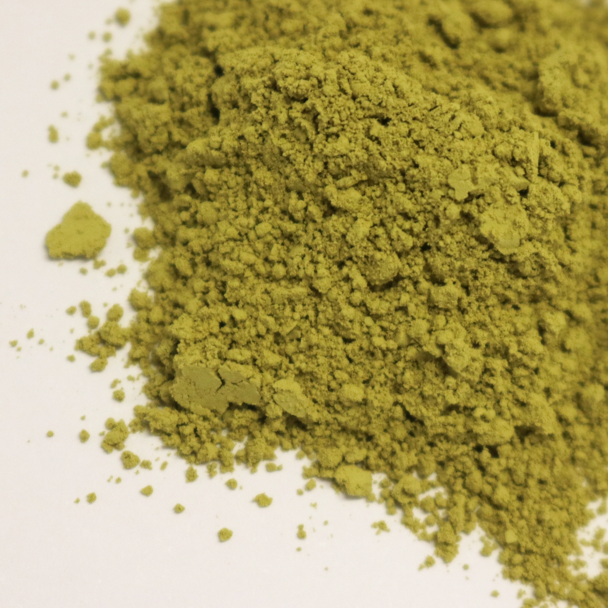 Tregothnan Traditional Small Batch Matcha – 10g