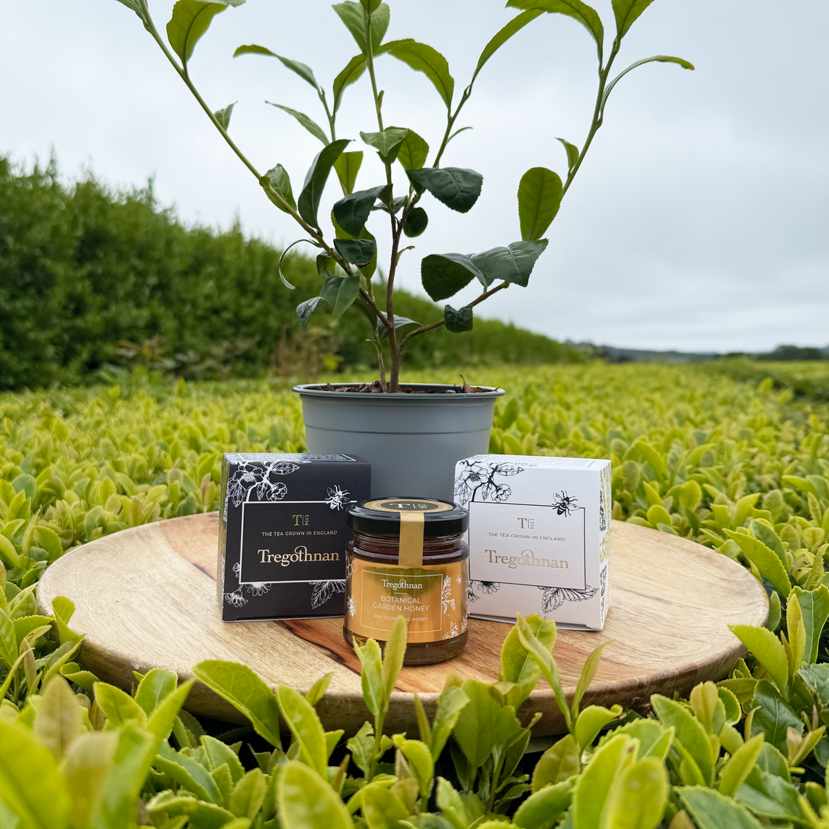 The Botanical Bundle