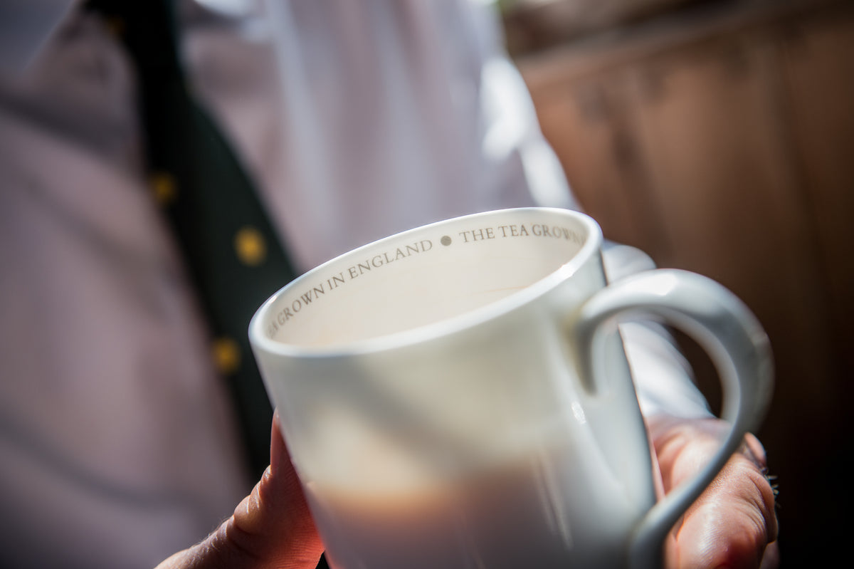 Tregothnan Bone China Mug