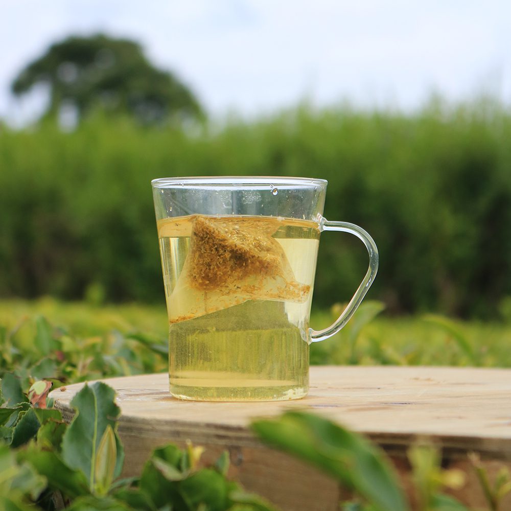Chamomile Tea - 100 Pyramid Bags