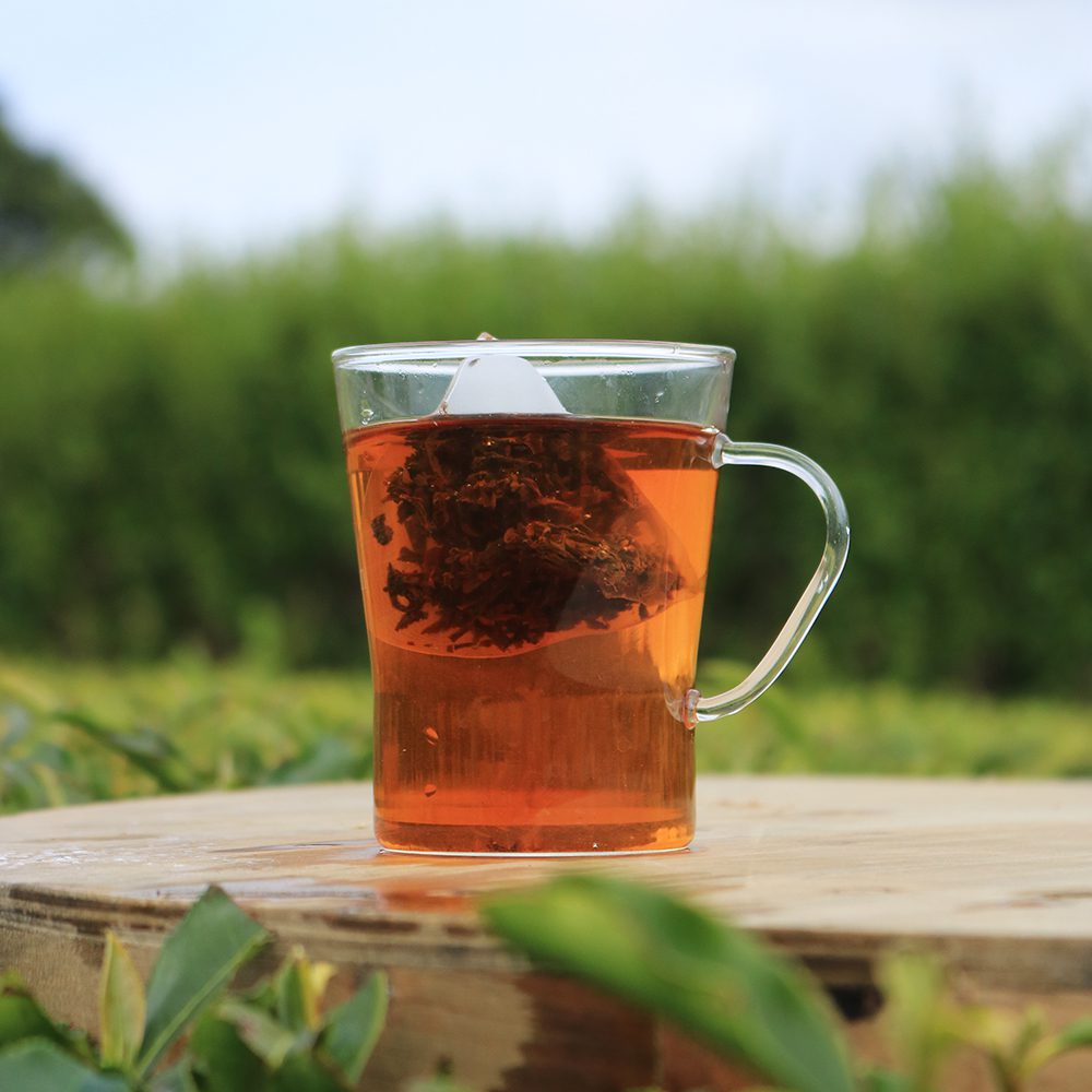 Great British Tea - 100 Pyramid Bags